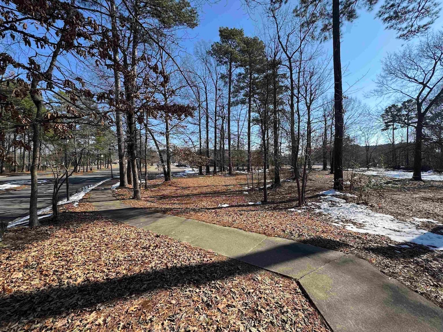 13513 Otter Creek, Little Rock, AR 72210 - photo 1