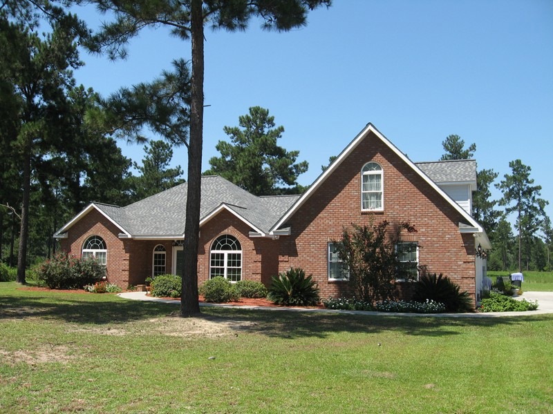 Main View