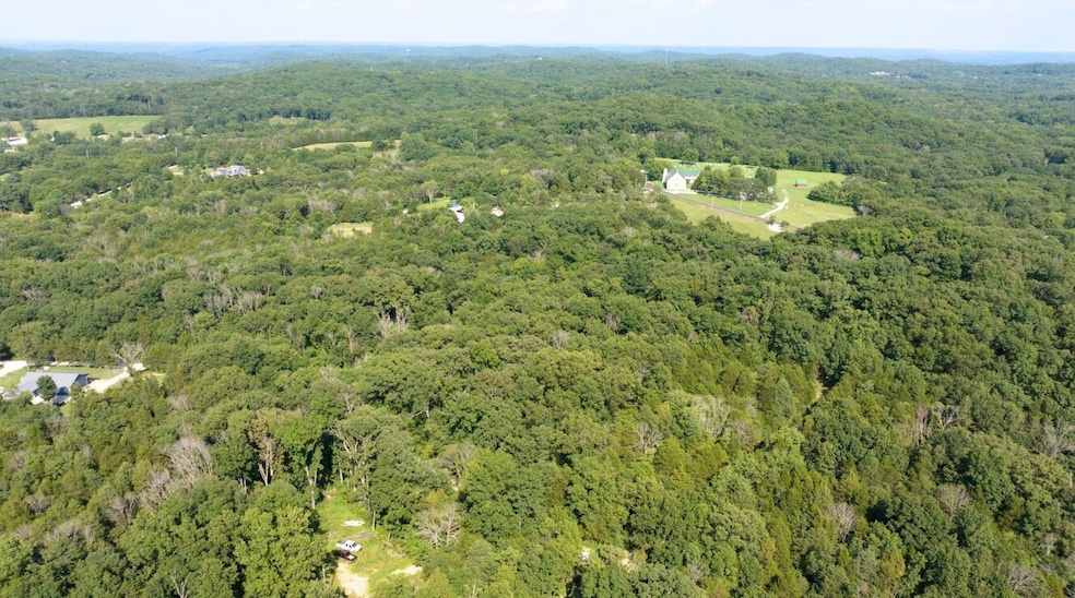 Oak Hill Dr, Catawissa, MO 63015 - photo 1