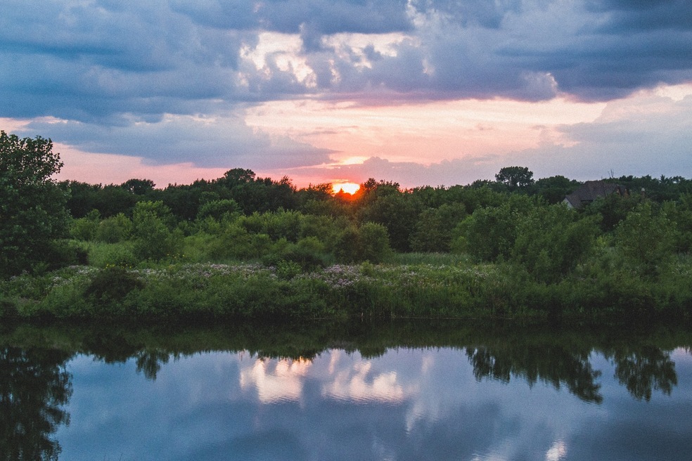 Water View