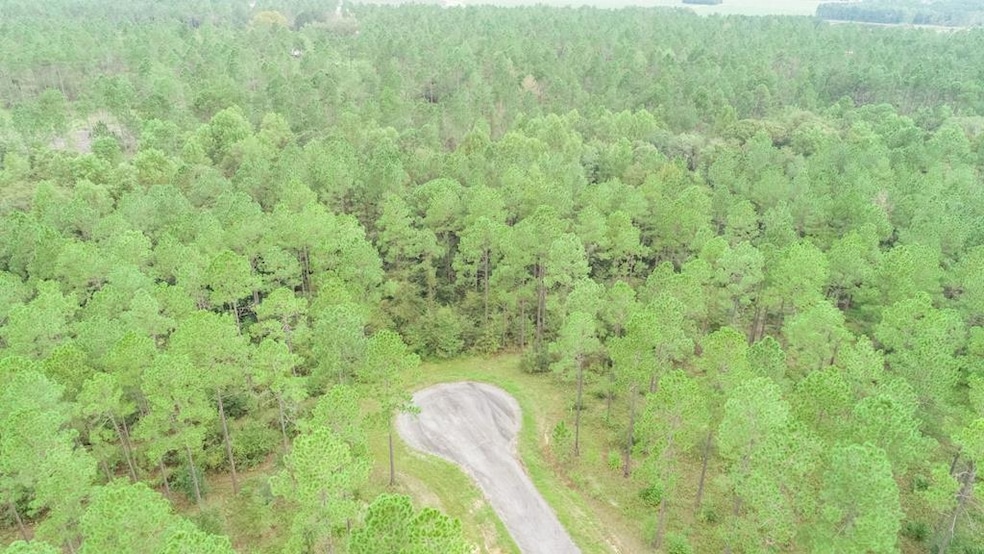 LOT 29 Merganser Ln, Moultrie, GA 31768 - photo 1