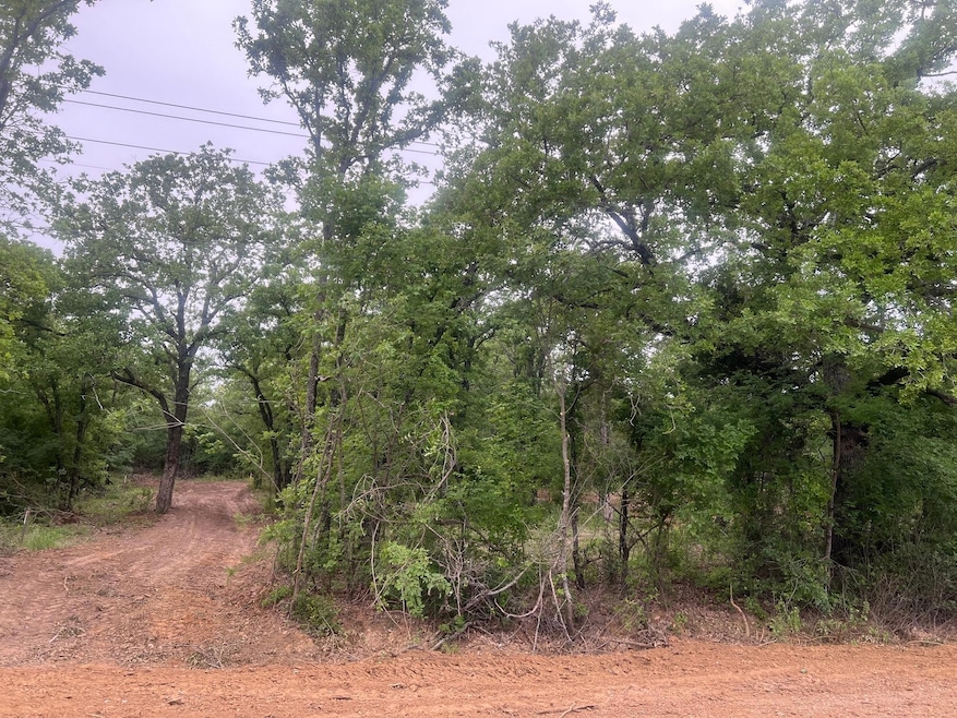 View of local wilderness