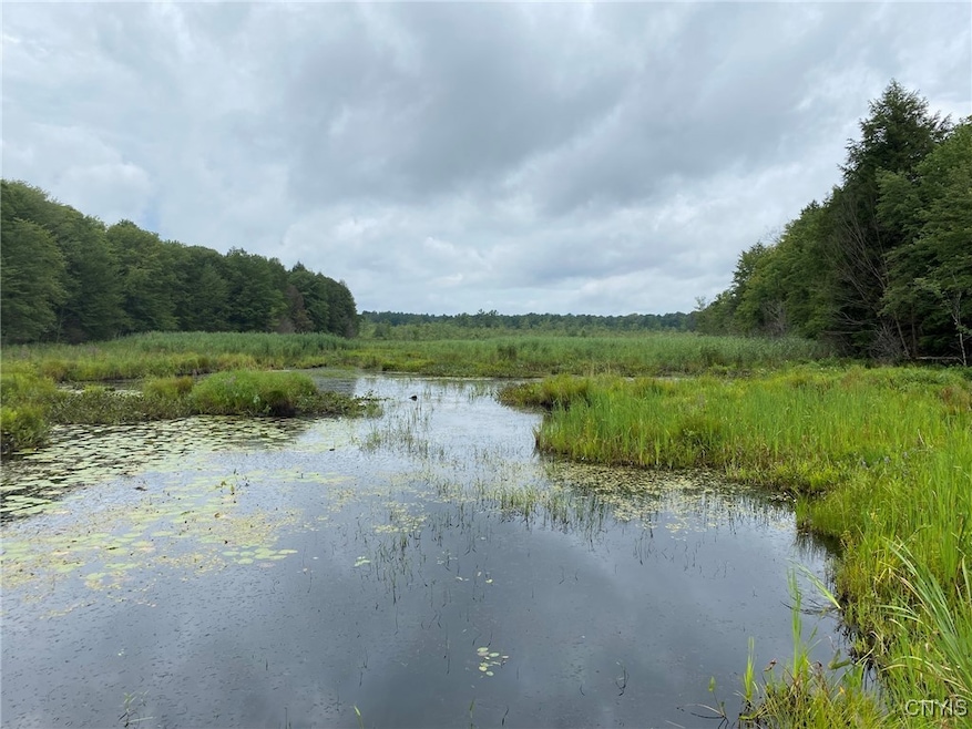 0 Fisherman S Bridge Rd unit S1636074, Williamstown, NY 13493 - photo 1