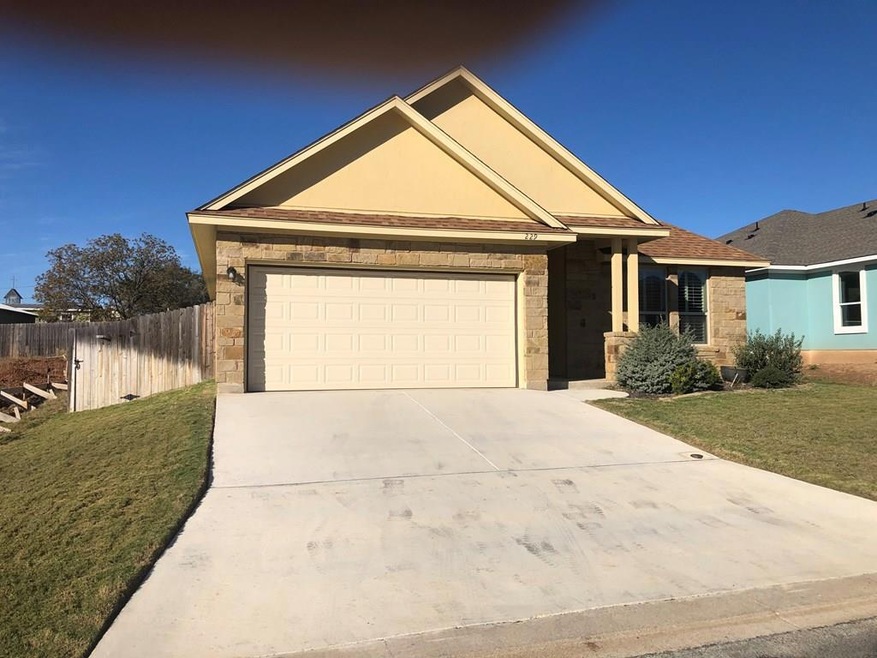 229 Riley Ln, Fredericksburg, TX 78624 - photo 1