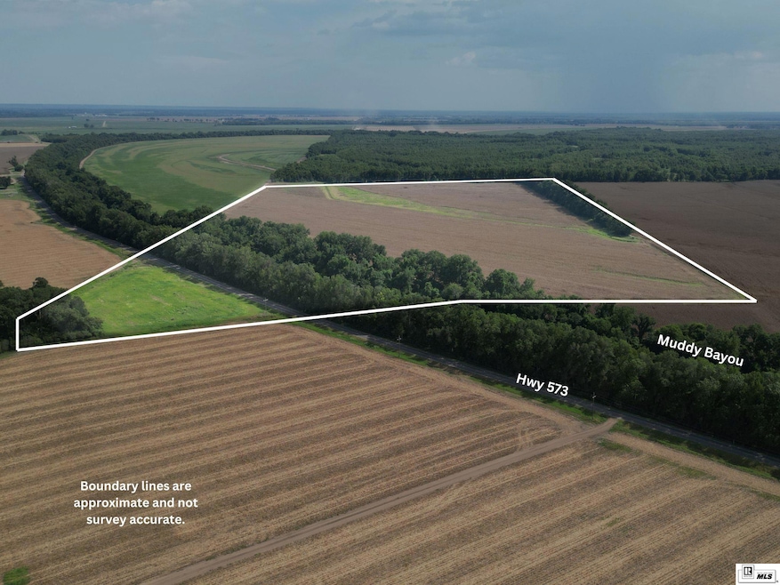 0 State Route 573 unit 80+-acres, St. Joseph, LA 71633 - photo 1