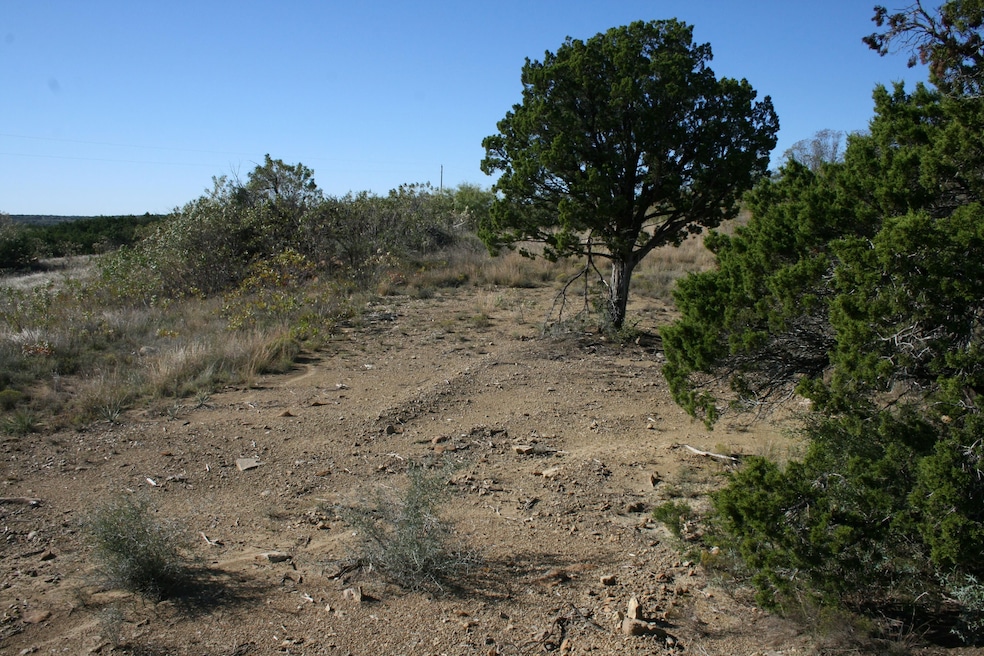 000Upper Brad Rd, Strawn, TX 76475 - photo 1