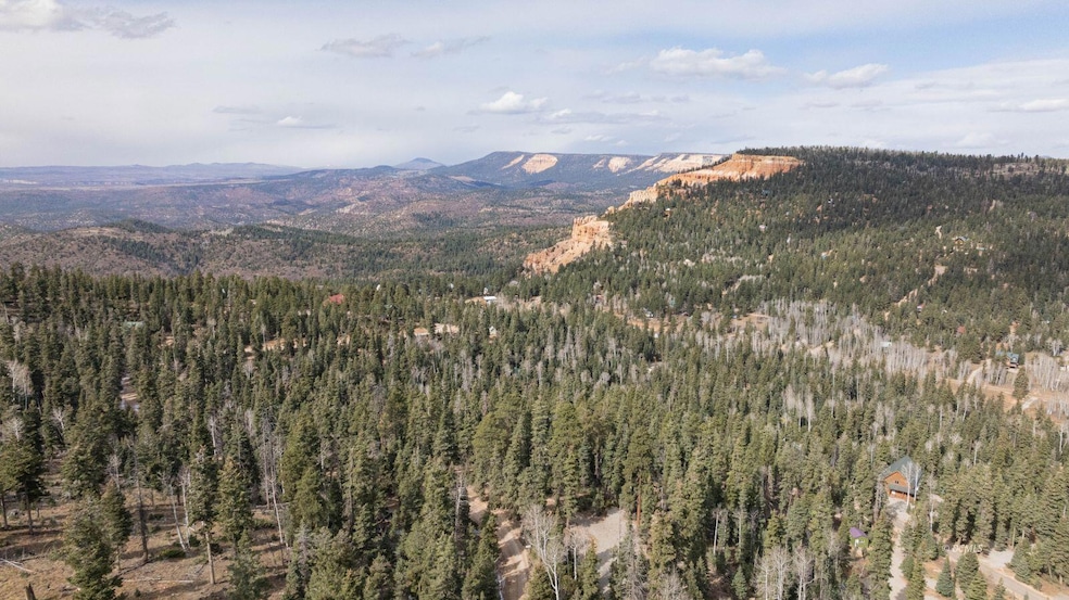 Property Bordering National Forest