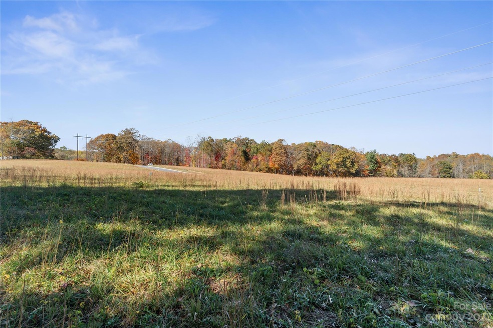 75 Scott Meadows Dr, Asheville, NC 28806 - photo 1