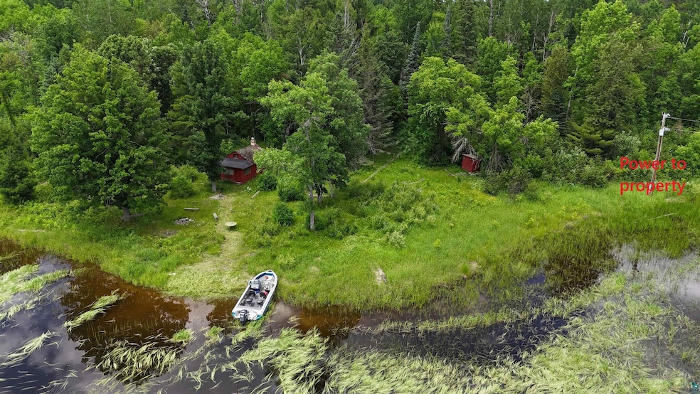 TBD 40 Crane Lake, Crane Lake, MN 55725 - photo 1