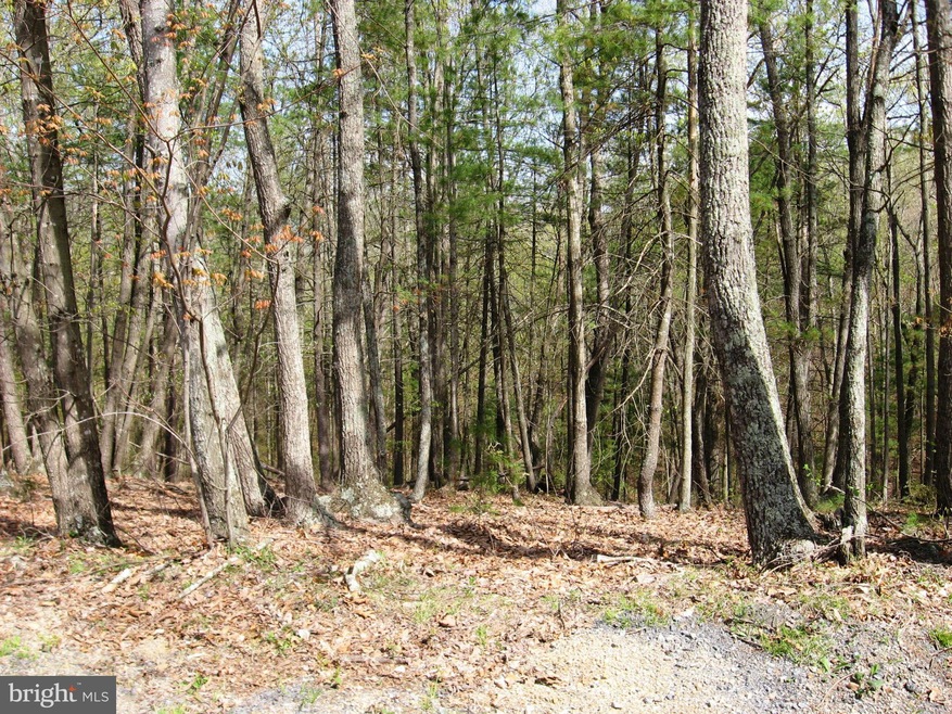 0 Miller Rd unit 1000121719, Basye, VA 22810 - photo 1