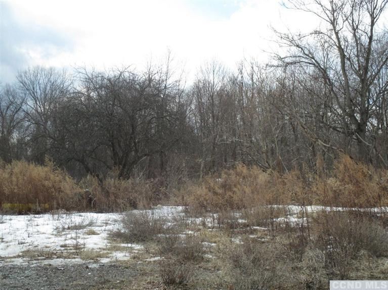 3771 U S Highway 9, Greenport, NY 12534 - photo 1