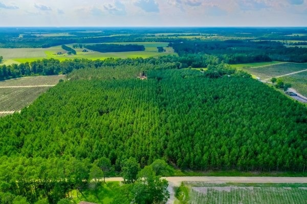 4060 County Farm Rd, Blackshear, GA 31516 - photo 1