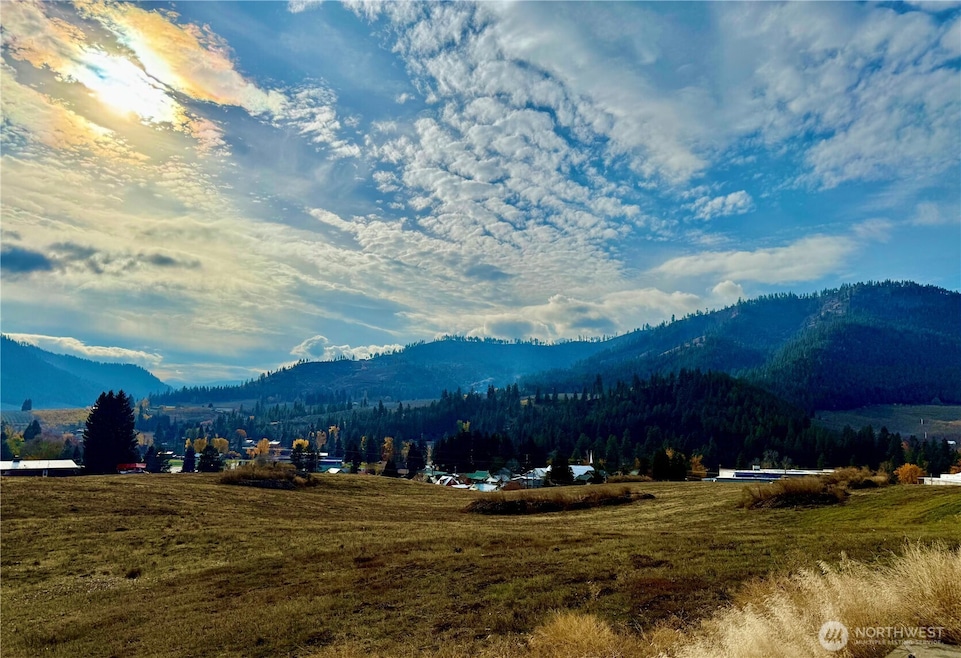 855 X Larson Rd, Peshastin, WA 98847 - photo 1