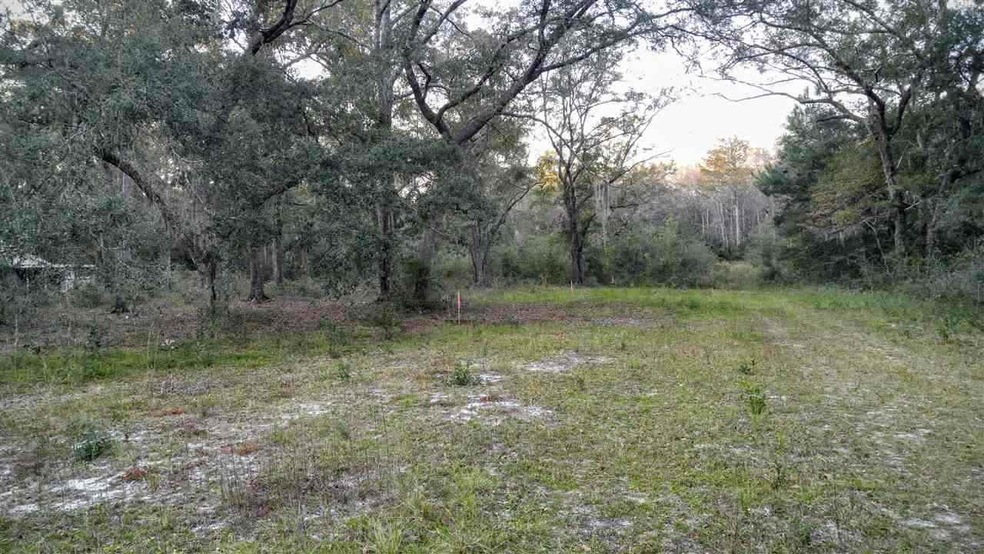 Lot 5 Imaginary Ln, Crawfordville, FL 32327 - photo 1