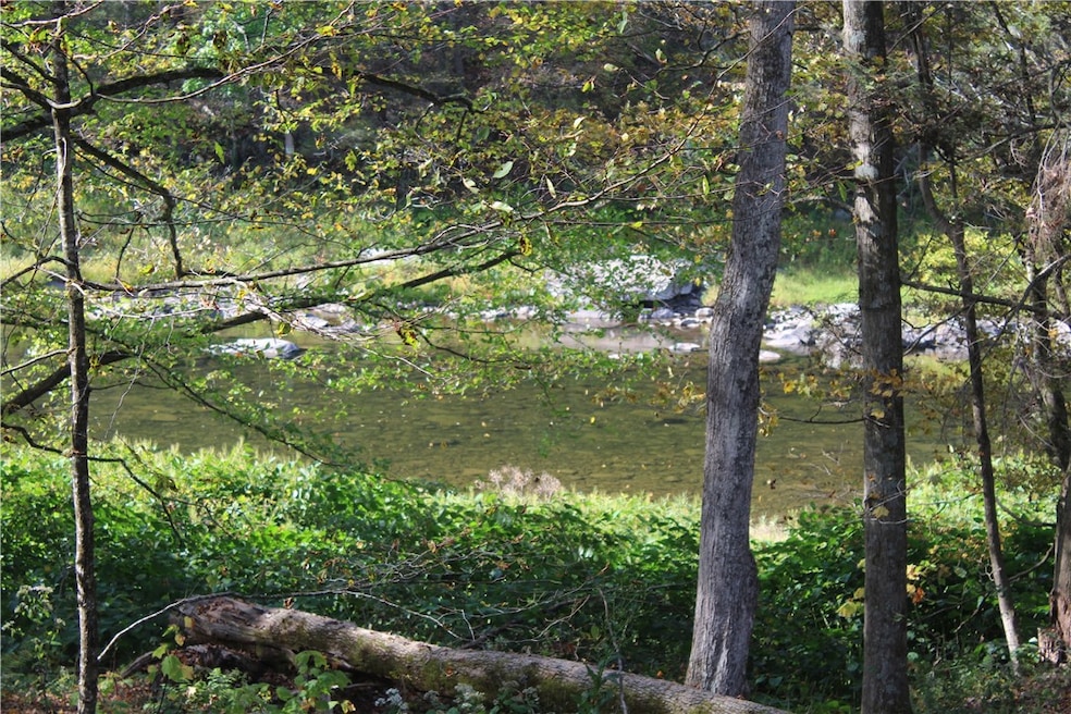 Beaverkill River front