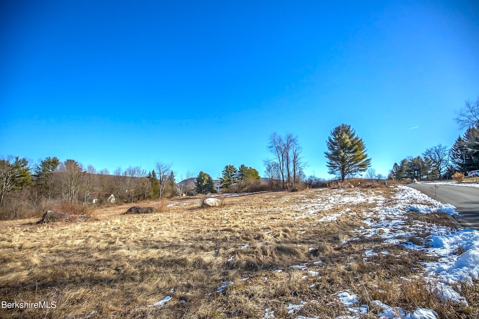 Lot 50