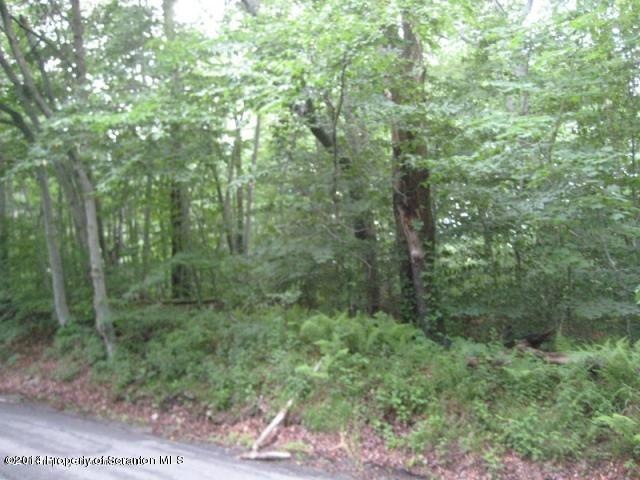 0 Gardner Rd unit GSB174618, Roaring Brook Township, PA 18444 - photo 1