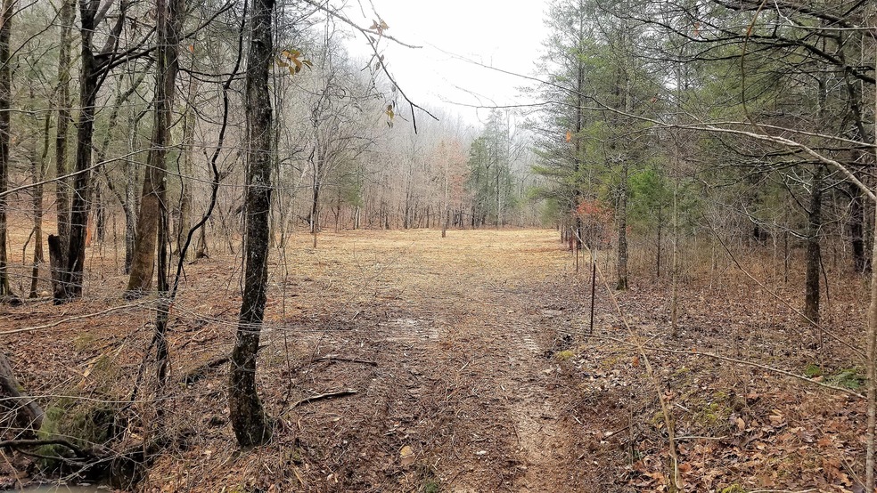 0 Sewell Branch Rd unit 2000839, Linden, TN 37096 - photo 1