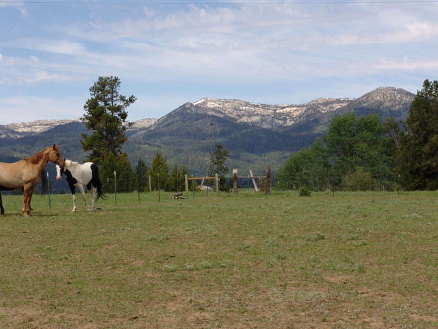 Main View