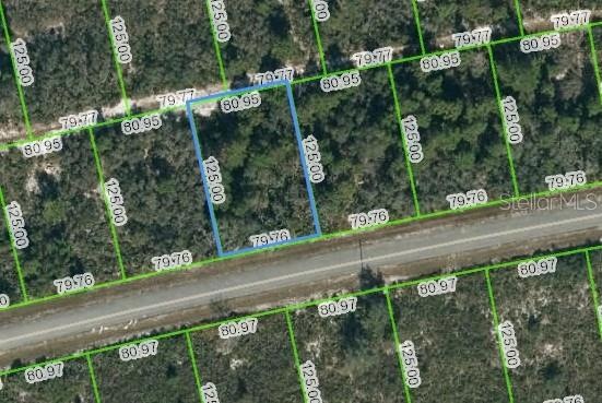 7436 Casilla St, Sebring, FL 33872 - photo 1