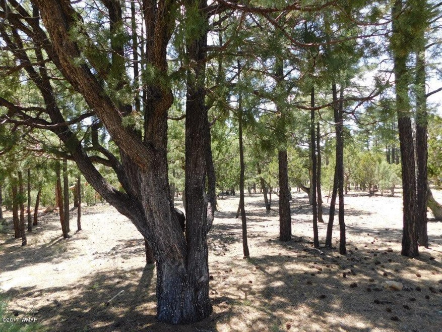 3436 Ponderosa Loop (5)