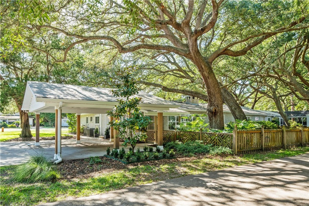 Gorgeous Live Oak Canopy