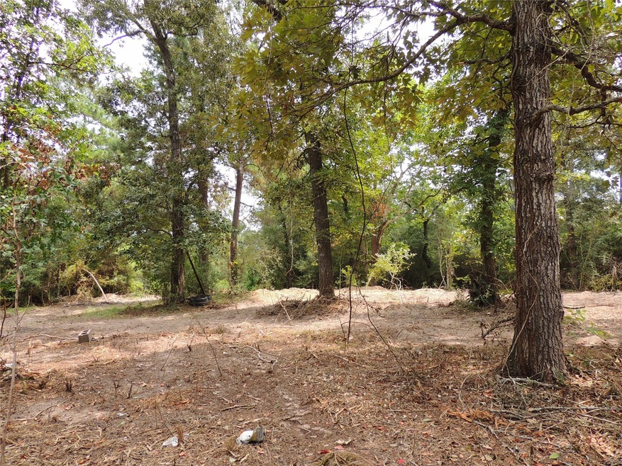 Lot 32C and 33A Rose Cir, Magnolia, TX 77355 - photo 1