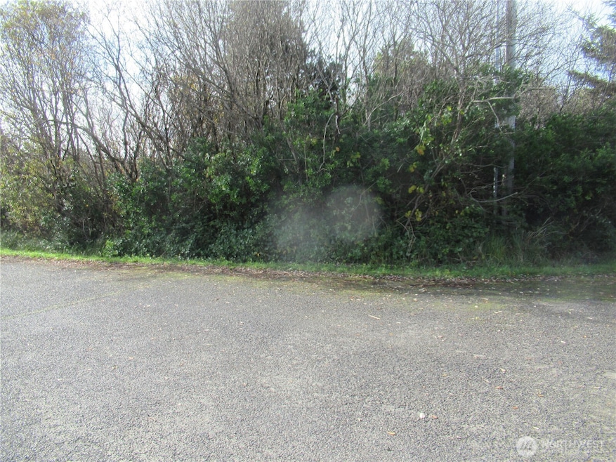 16 Driftwood St, Ocean Shores, WA 98569 - photo 1