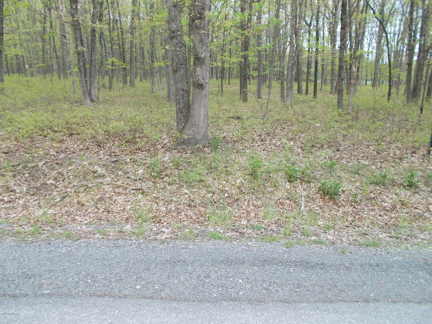 190 Brian Ln, Effort, PA 18330 - photo 1