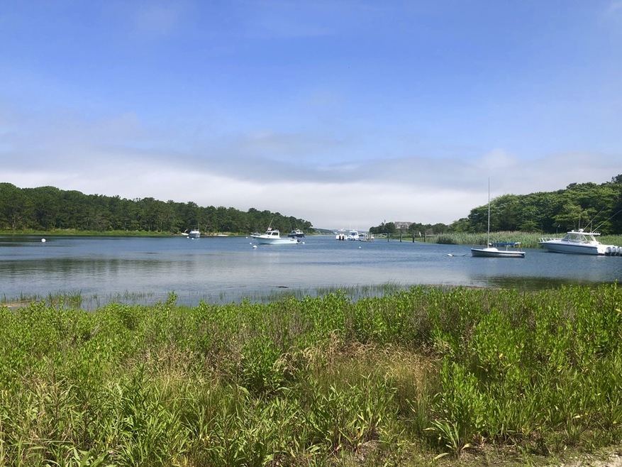 20 Dary Ln, Falmouth, MA 02540 - photo 1