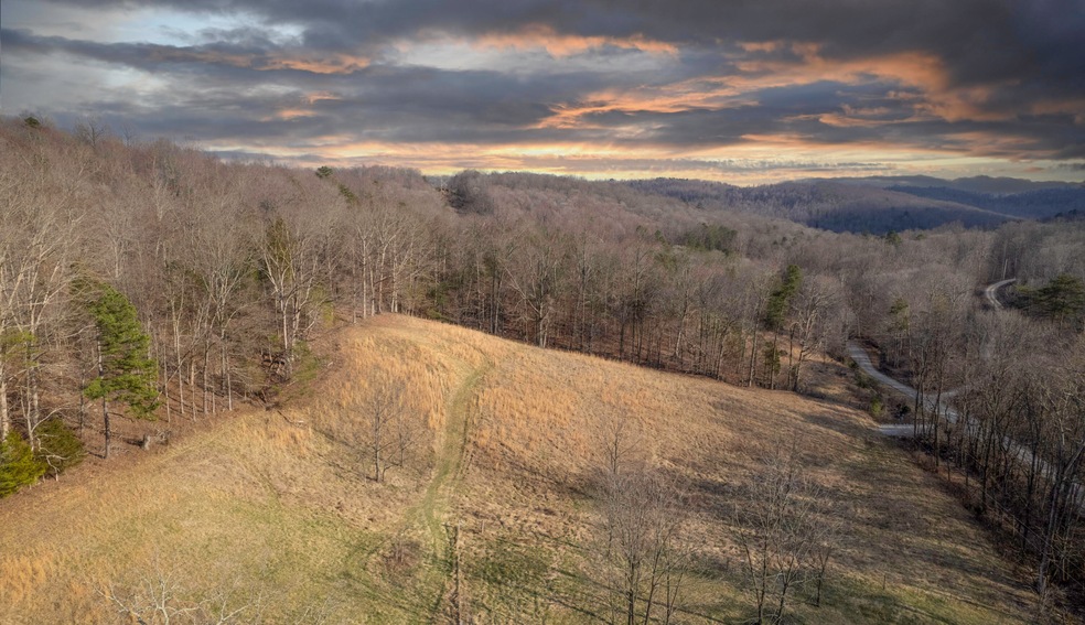 4038 Elihu Cabin Hollow Rd, Somerset, KY 42501 - photo 1