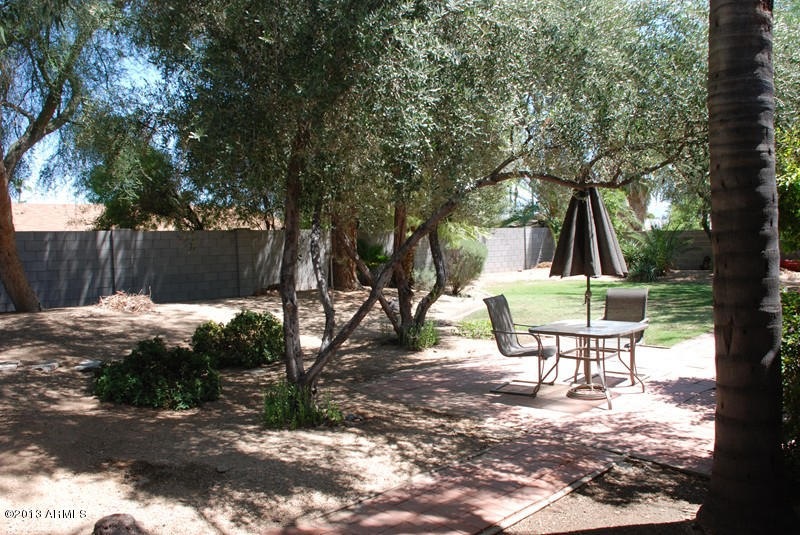 Back Yard