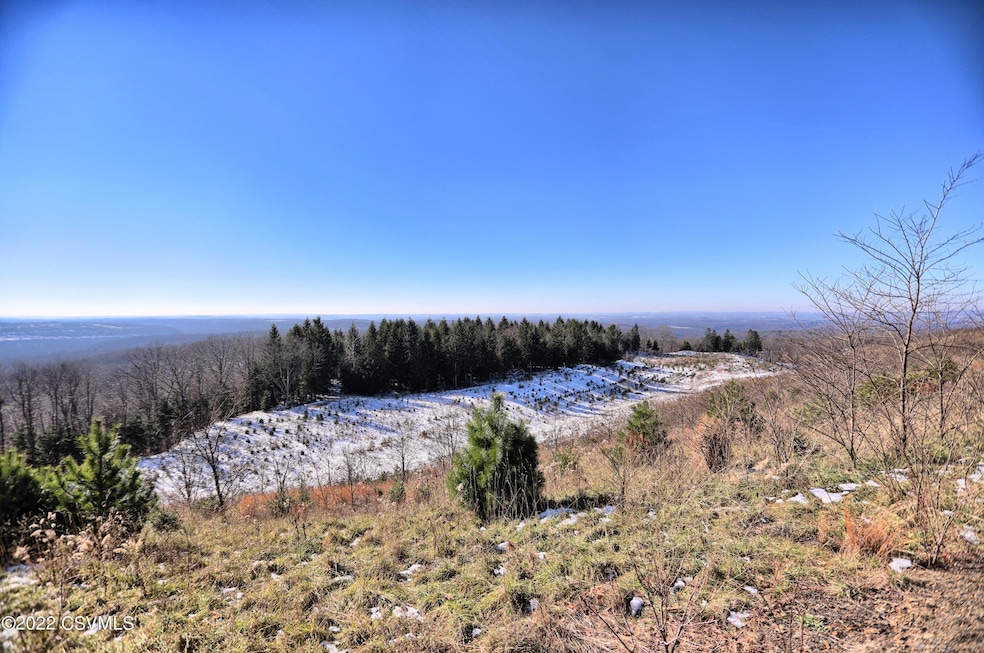 485A0312-HDR(3)