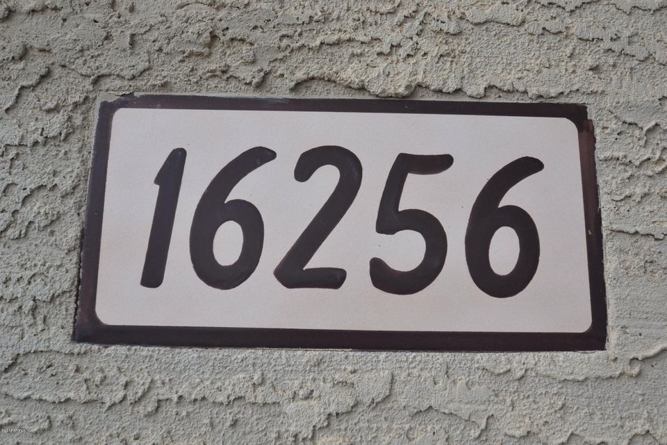 AZPH0869 FP (1)