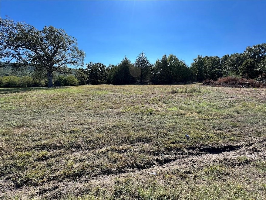 Tract 4 Arkansas 170, Fayetteville, AR 72730 - photo 1