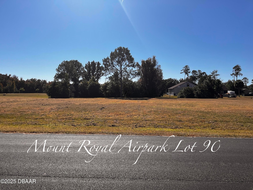 Lot 90 Lindsay Ln, Crescent City, FL 32112 - photo 1