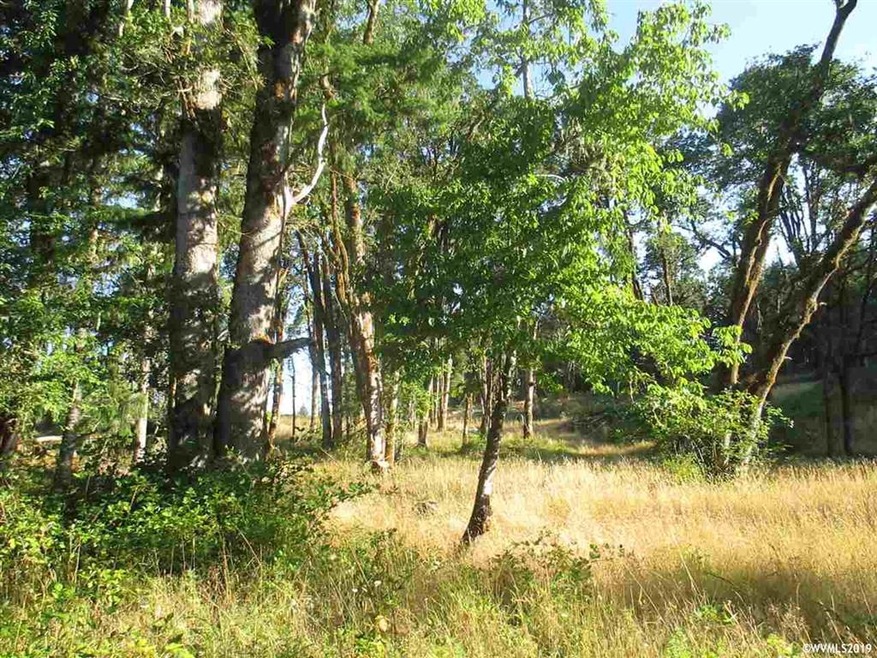 0 SW Rock Creek Rd unit 752622, Sheridan, OR 97378 - photo 1