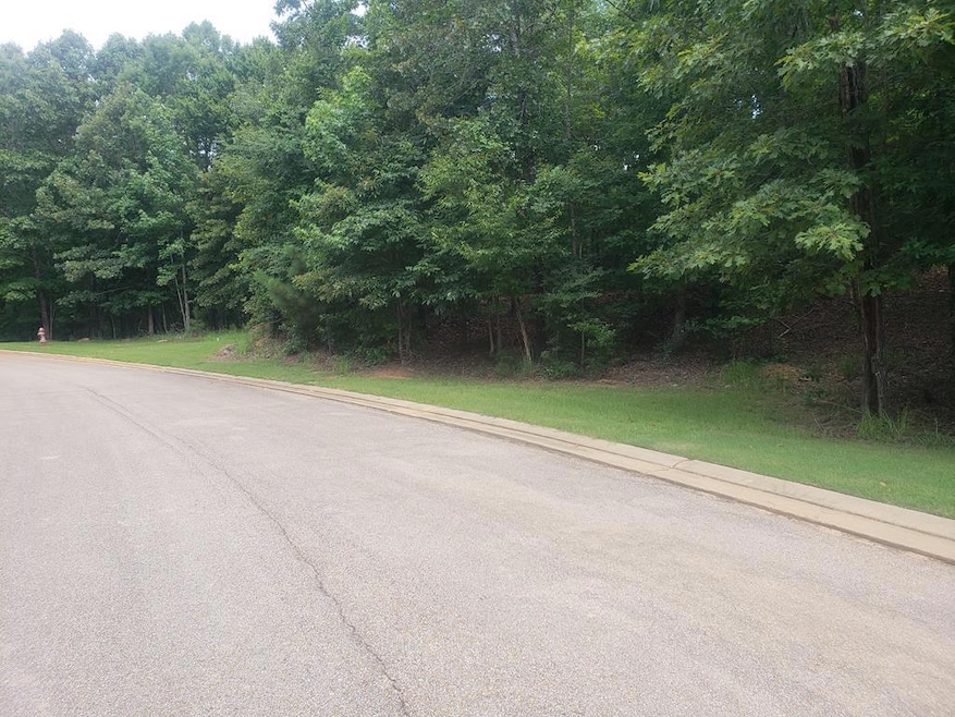 106 Westminster Dr, Oxford, MS 38655 - photo 1