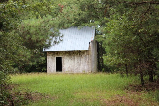Main View