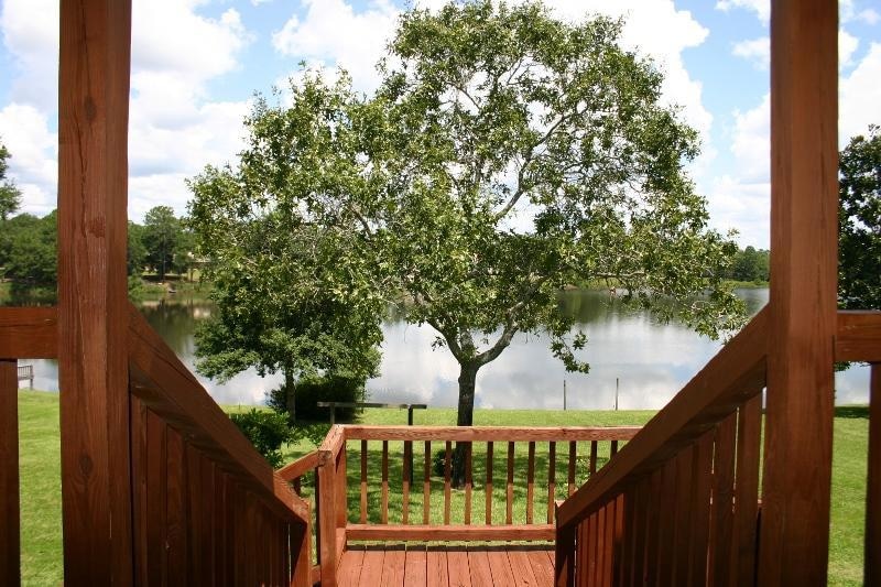 View From Deck
