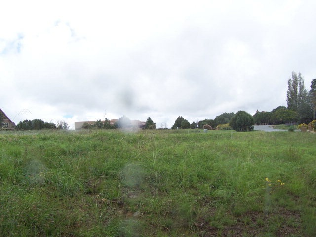 Primary Photo