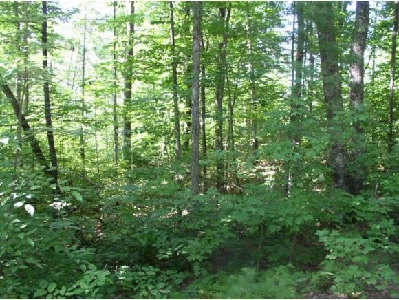 191 Boyds Corner Rd, South Berwick, ME 03908 - photo 1