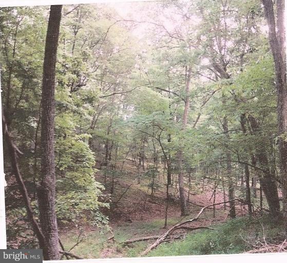 23 Beech Ln, Baker, WV 26801 - photo 1