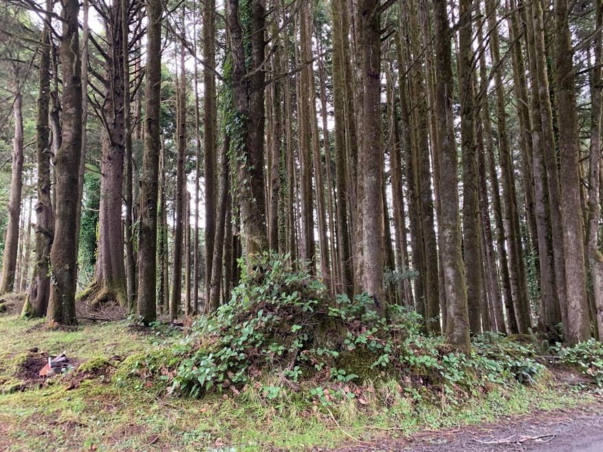 TL1100 SW Bard Rd, Lincoln City, OR 97367 - photo 1