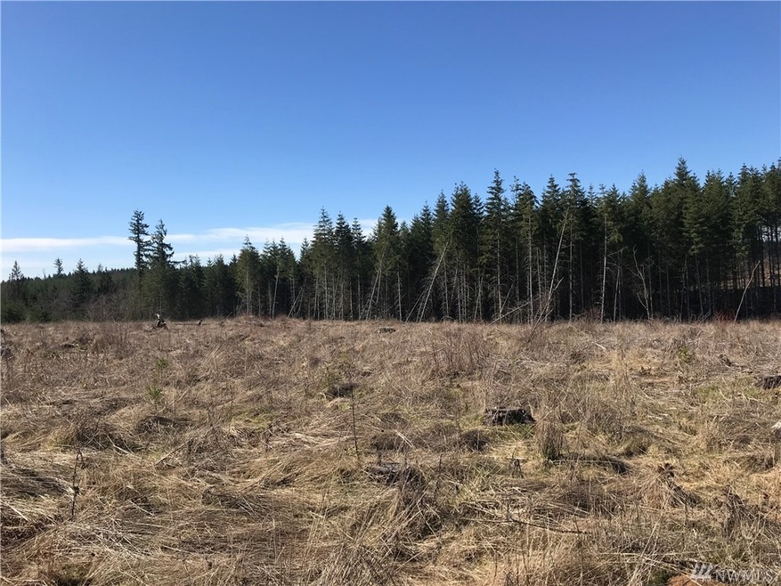 0 Remington Ln unit 1352247, Chehalis, WA 98532 - photo 1