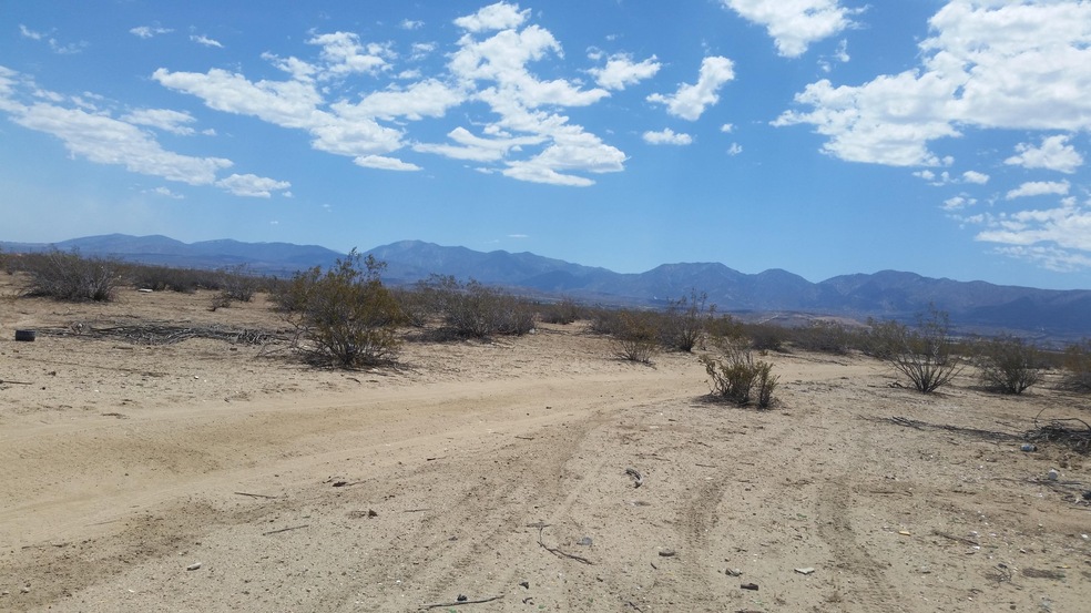 View of dirt road