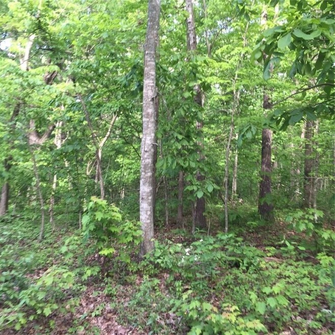 Lot 7 Leona Dr, Bella Vista, AR 72715 - photo 1