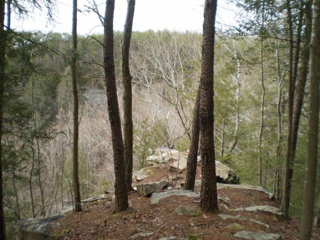 Rock Point for a gazebo  - stargaze or watch eagles and hawks ride thermal currents!