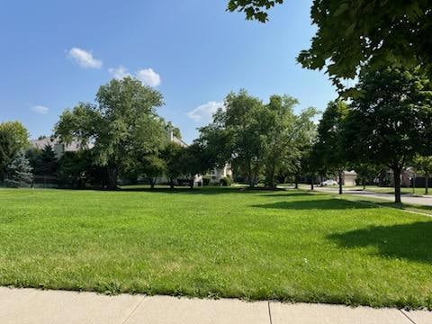 1251 Lansbrook Dr, South Elgin, IL 60177 - photo 1