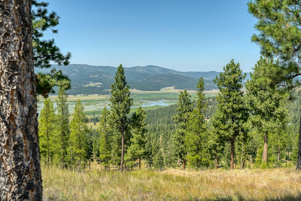 575 Springhill Rd, Kila, MT 59920 - photo 1